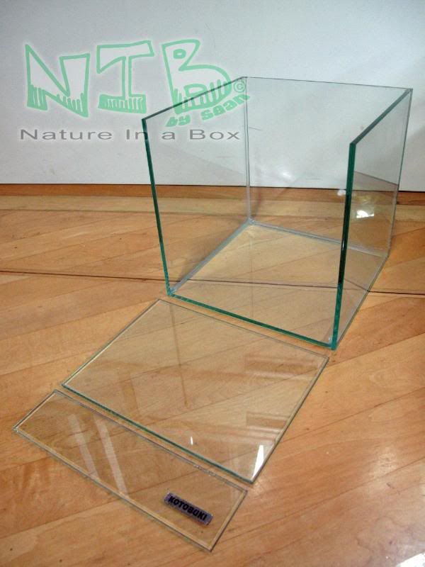 Convert a glass aquarium to a European style terrarium Dendroboard